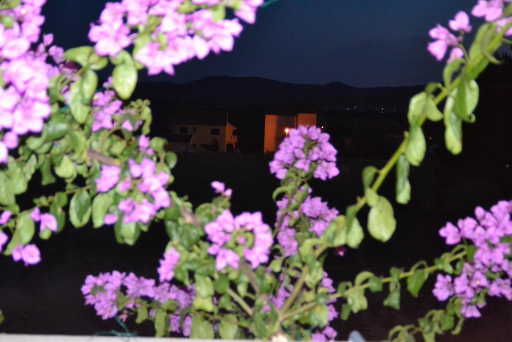 Apartment Klara Биоград-на-Мору Номер фото